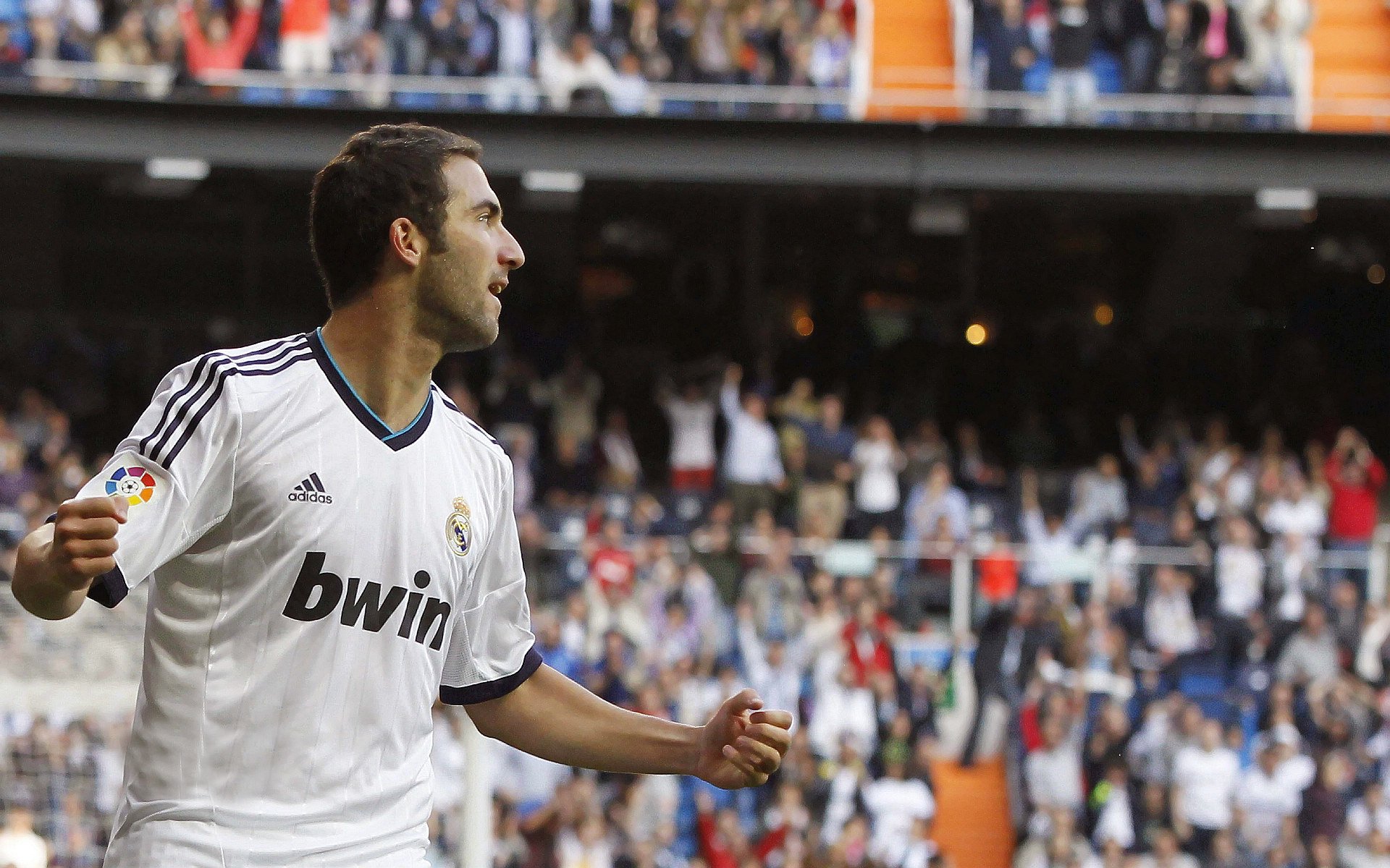 九游app下载中心-创意十足的球场设计引领行业新潮流，球场效果图