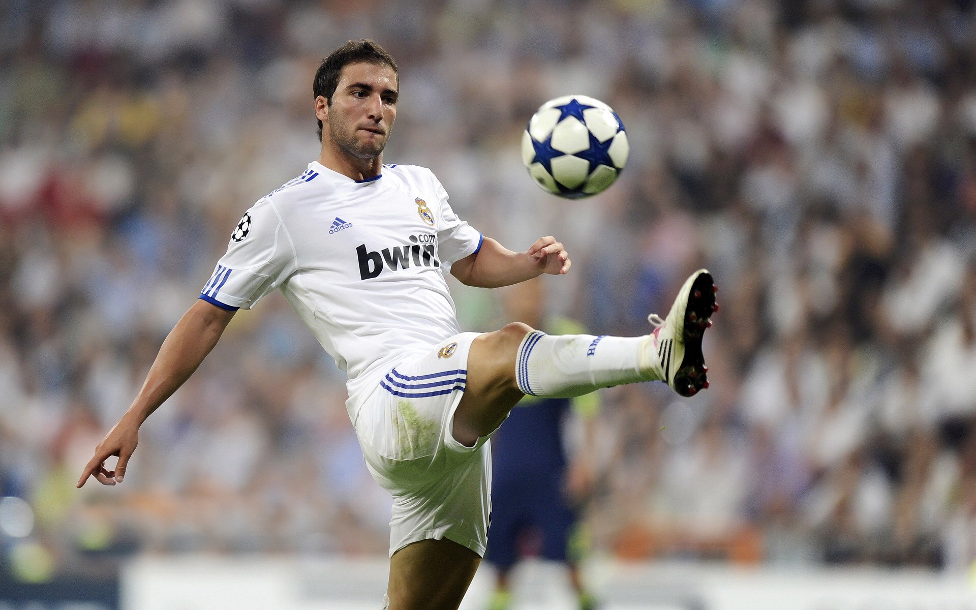 创意十足的球场设计引领行业新潮流，球场效果图